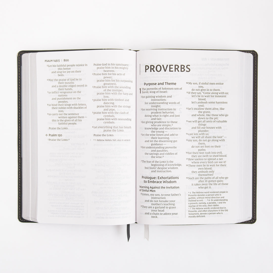 NIV Personal Size Bible - Large Print - Red Letter - Leathersoft - Black