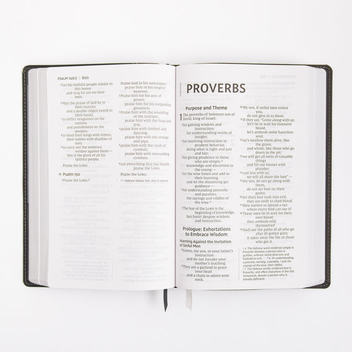NIV Personal Size Bible - Large Print - Red Letter - Leathersoft - Black