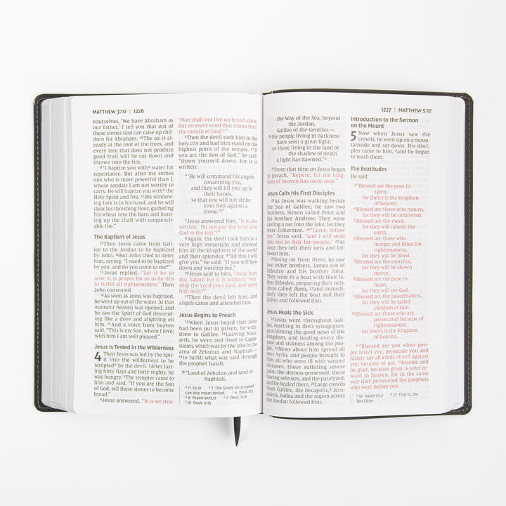NIV Personal Size Bible - Large Print - Red Letter - Leathersoft - Black