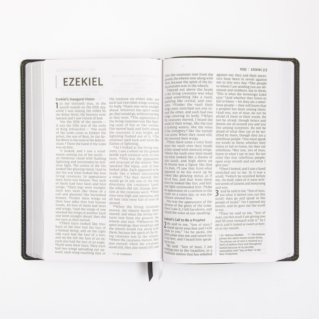 NIV Personal Size Bible - Large Print - Red Letter - Leathersoft - Black