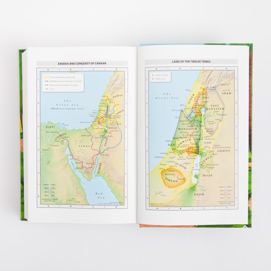 NIrV Adventure Bible for Early Readers - Hardcover - Full Color