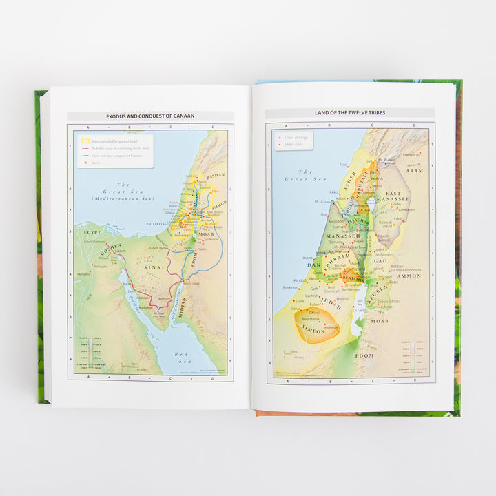 NIrV Adventure Bible for Early Readers - Hardcover - Full Color