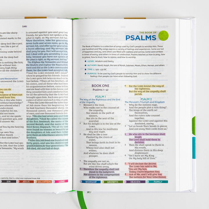 Open Bible spread showing the end of Job and the introduction and opening chapters of Psalms, with an overview box listing genre, authors, time, and purpose, and verses highlighted in yellow, pink, purple, and blue.