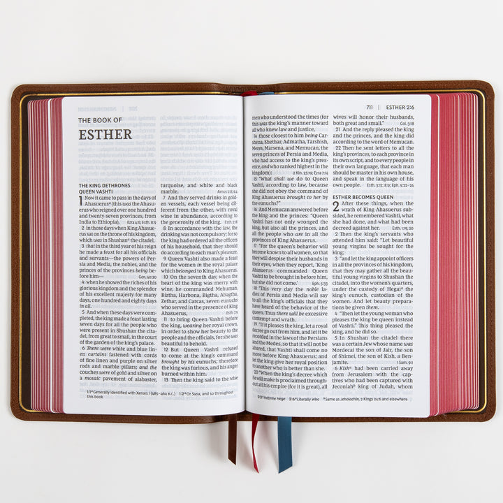 NKJV End-of-Verse Reference Bible - Large Print - Premium Goatskin - Brown, Premier Collection