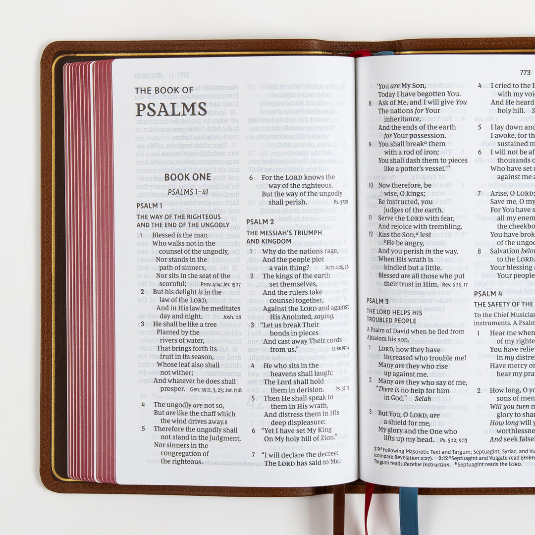 NKJV End-of-Verse Reference Bible - Large Print - Premium Goatskin - Brown, Premier Collection