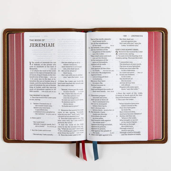 NKJV End-of-Verse Reference Bible - Large Print - Premium Goatskin - Brown, Premier Collection
