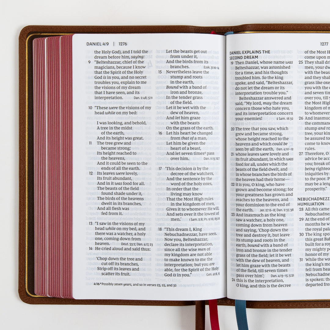 NKJV End-of-Verse Reference Bible - Large Print - Premium Goatskin - Brown, Premier Collection