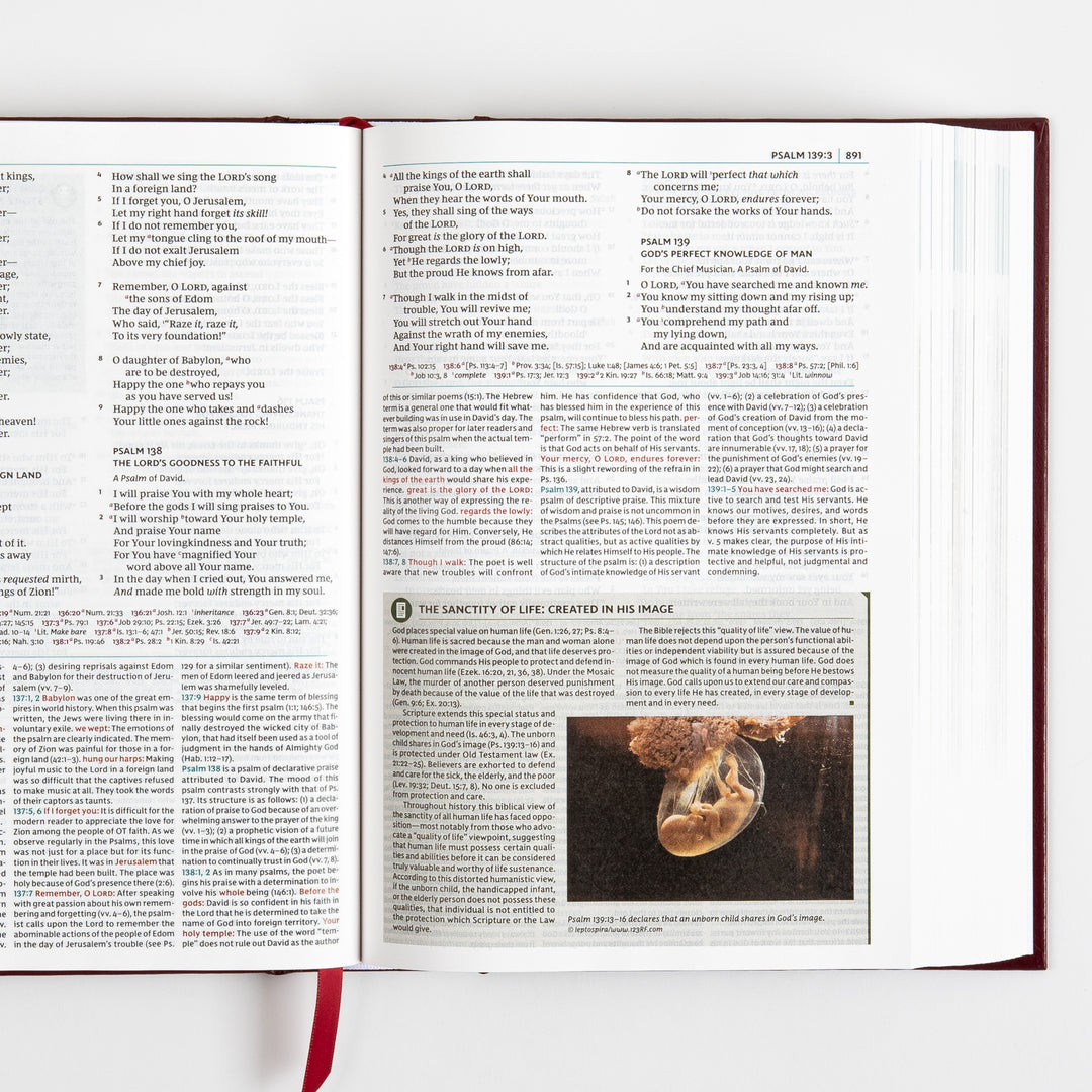 NKJV Study Bible - Full-Color, Red Letter - Hardcover, Comfort Print