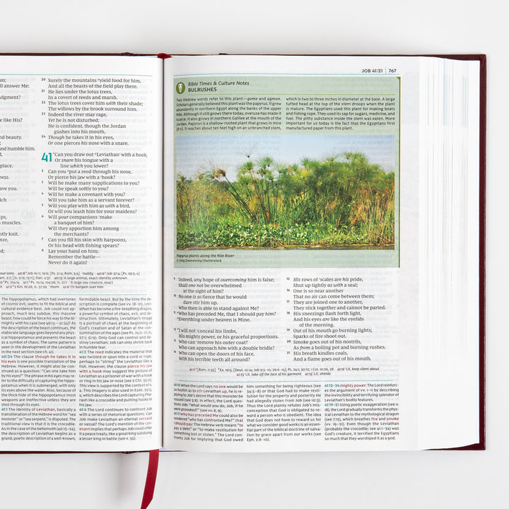 NKJV Study Bible - Full-Color, Red Letter - Hardcover, Comfort Print
