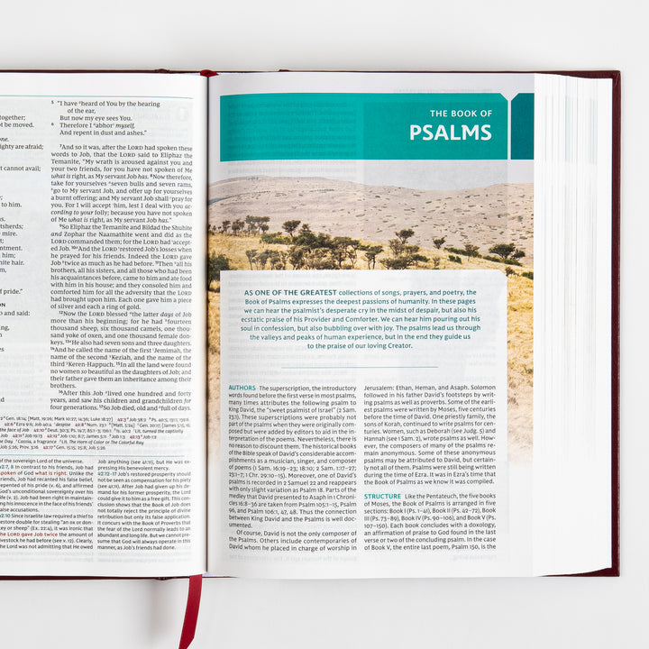 NKJV Study Bible - Full-Color, Red Letter - Hardcover, Comfort Print