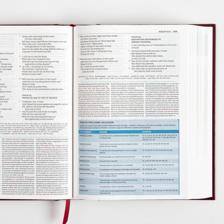 NKJV Study Bible - Full-Color, Red Letter - Hardcover, Comfort Print
