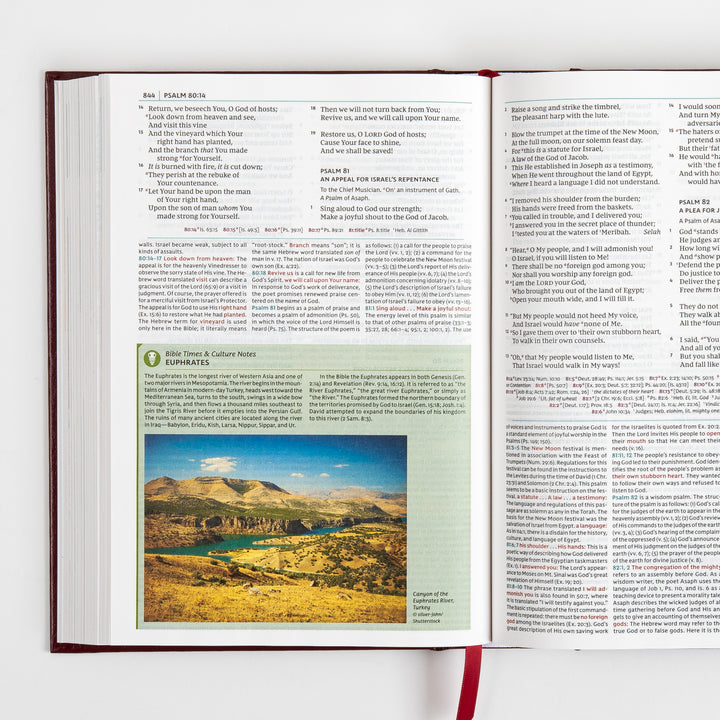 NKJV Study Bible - Full-Color, Red Letter - Hardcover, Comfort Print