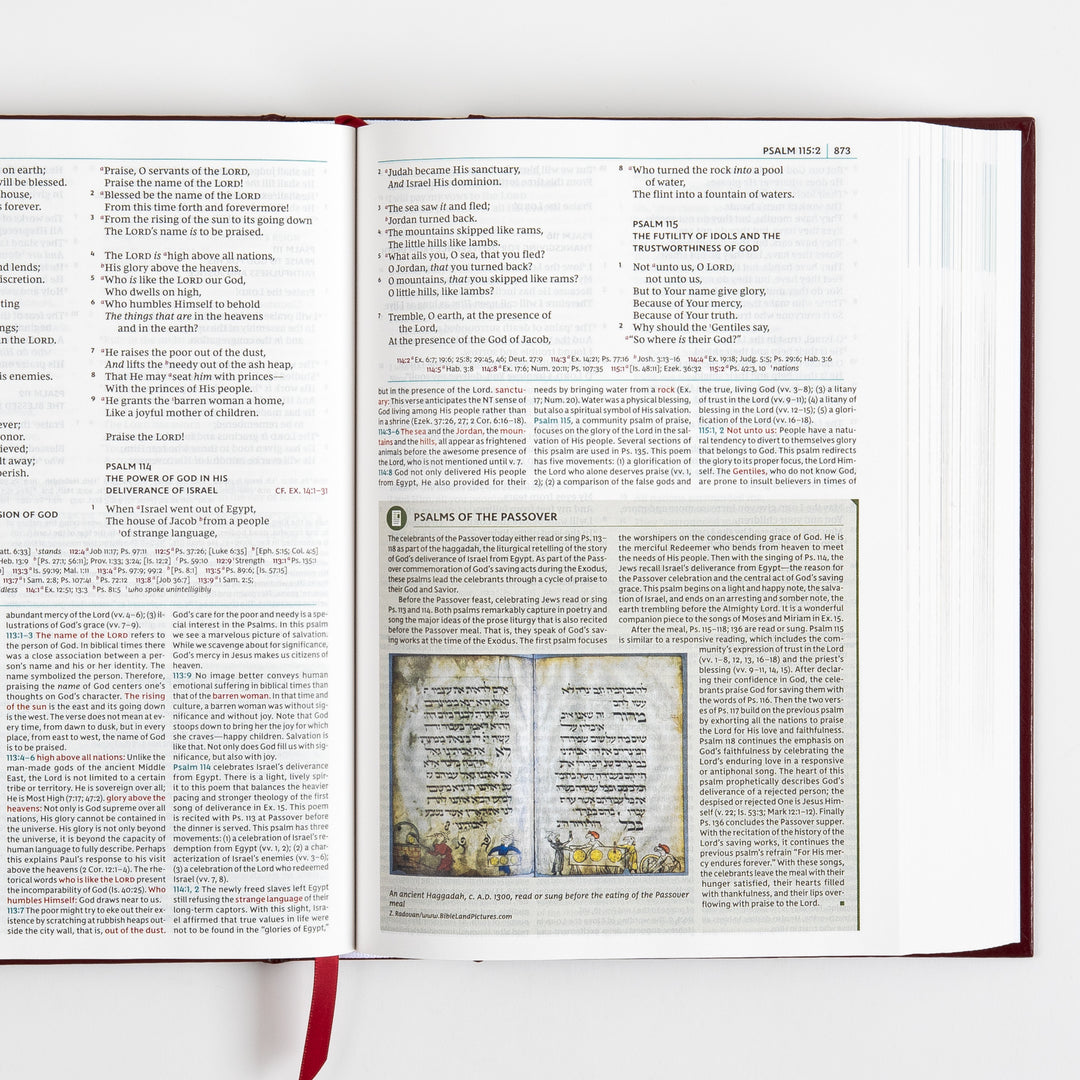 NKJV Study Bible - Full-Color, Red Letter - Hardcover, Comfort Print