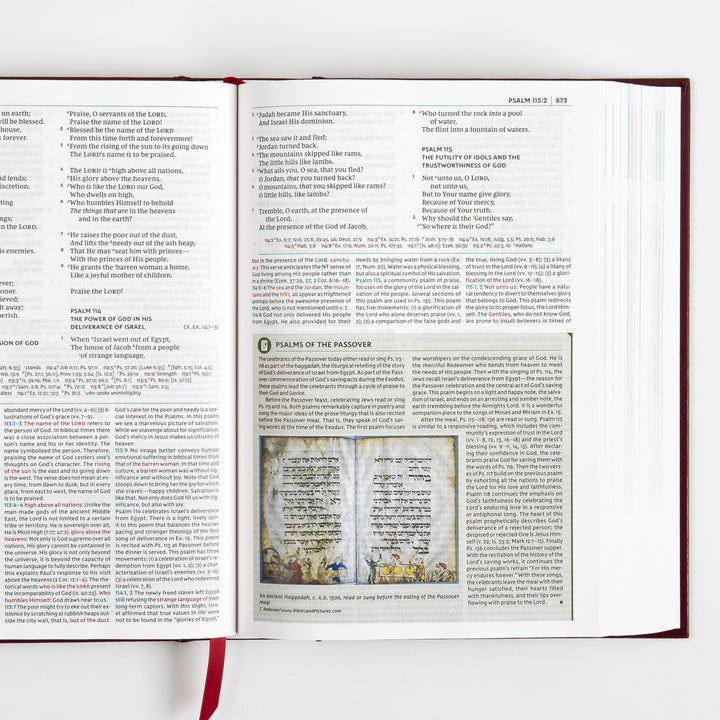 NKJV Study Bible - Full-Color, Red Letter - Hardcover, Comfort Print