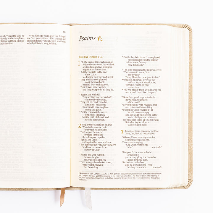 NLT Compact Bible - Sonora Theme