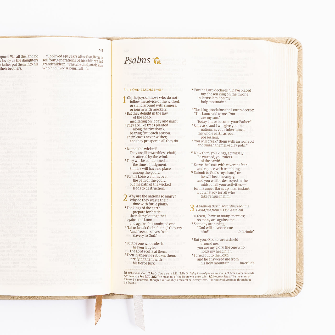 NLT Compact Bible - Sonora Theme