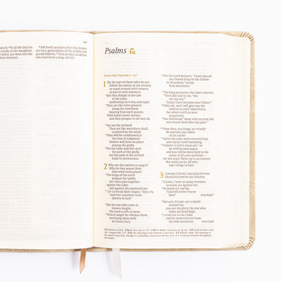 NLT Compact Bible - Sonora Theme