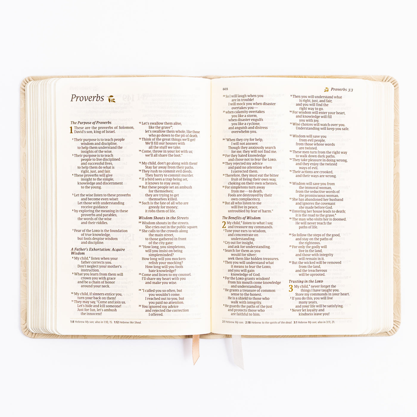 NLT Compact Bible - Sonora Theme