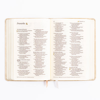 NLT Compact Bible - Sonora Theme