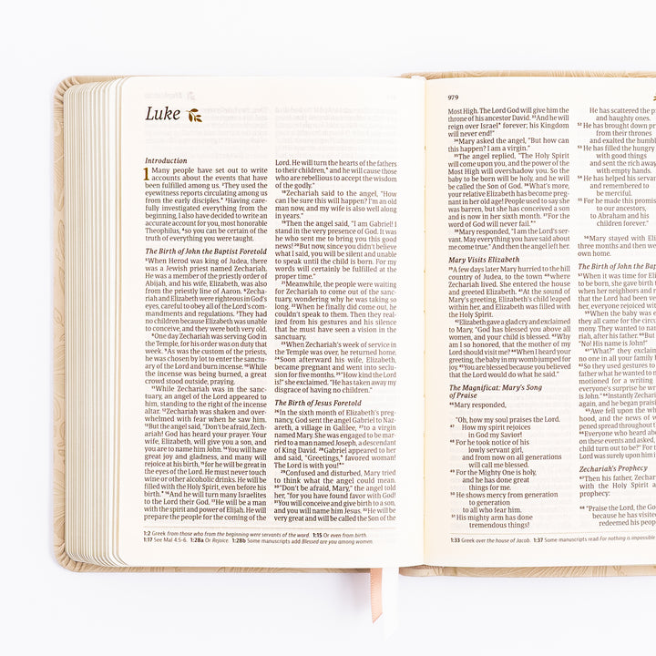 NLT Compact Bible - Sonora Theme