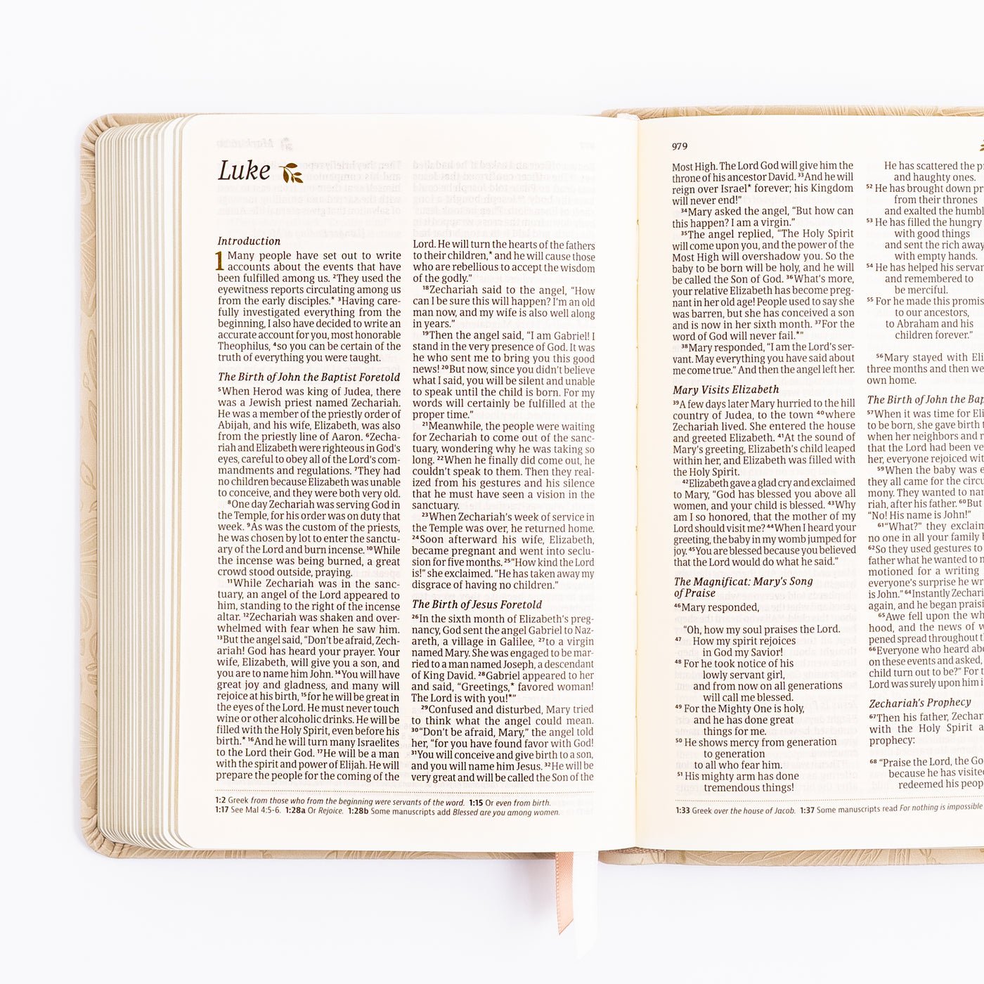 NLT Compact Bible - Sonora Theme