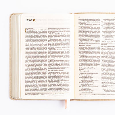 NLT Compact Bible - Sonora Theme