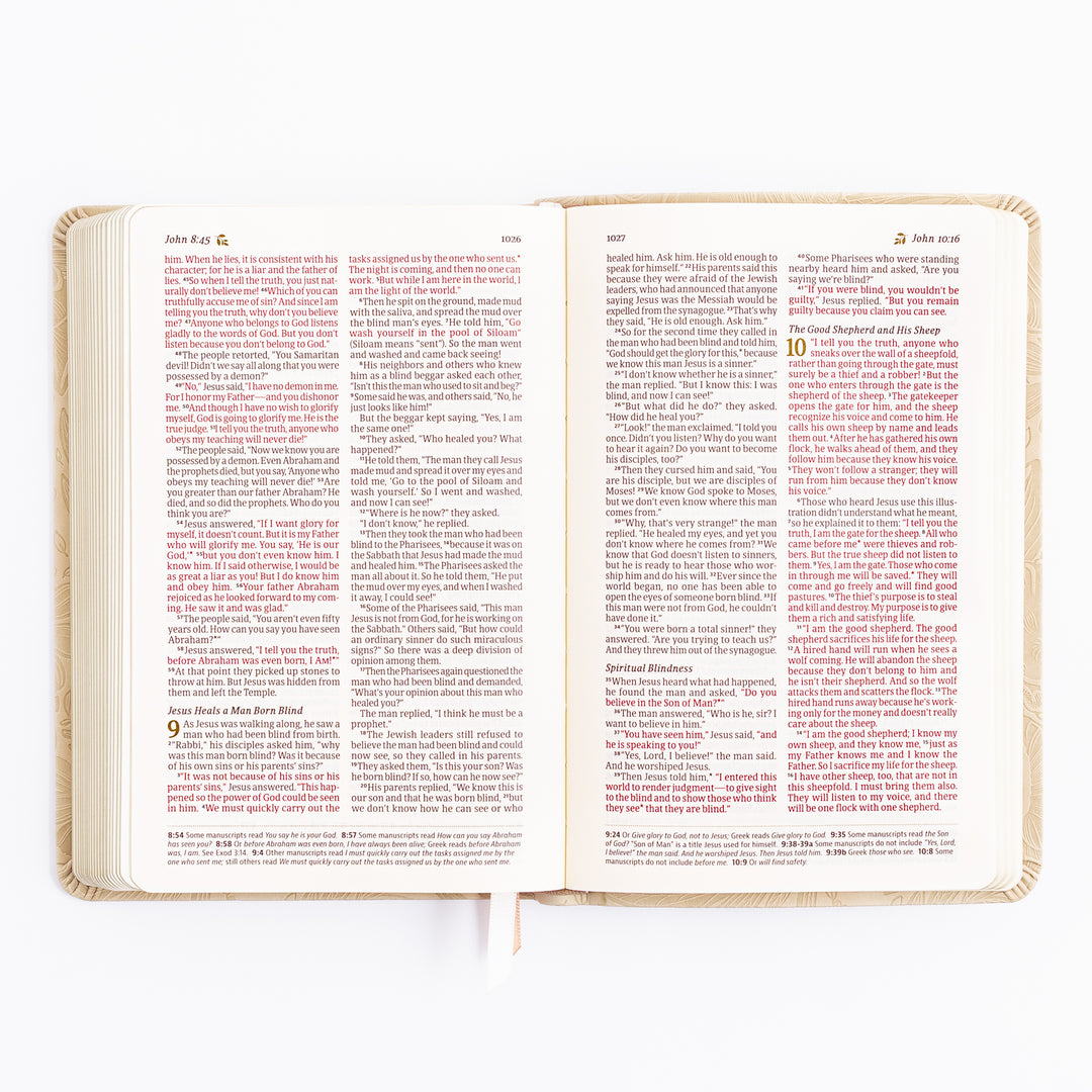 NLT Compact Bible - Sonora Theme