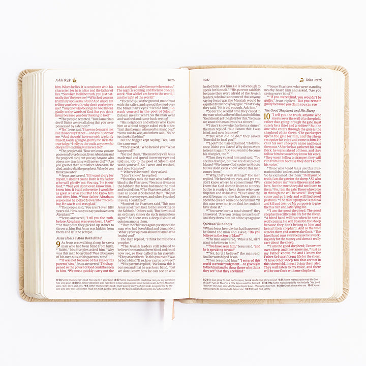 NLT Compact Bible - Sonora Theme