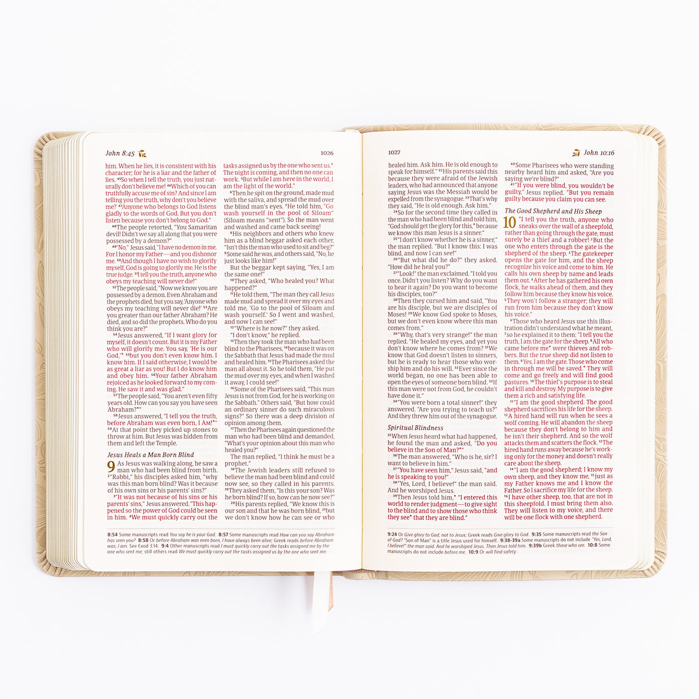 NLT Compact Bible - Sonora Theme