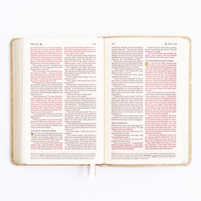 NLT Compact Bible - Sonora Theme