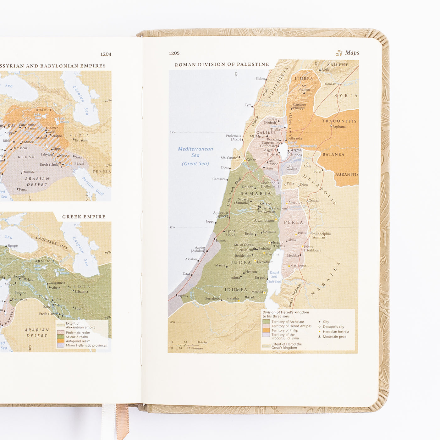 NLT Compact Bible - Sonora Theme