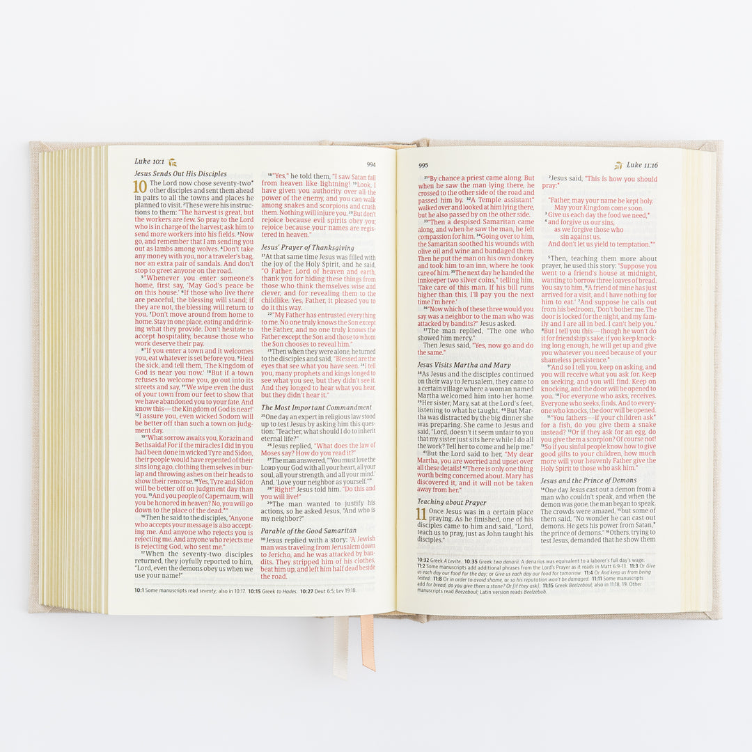 NLT Compact Bible: Casablanca Theme