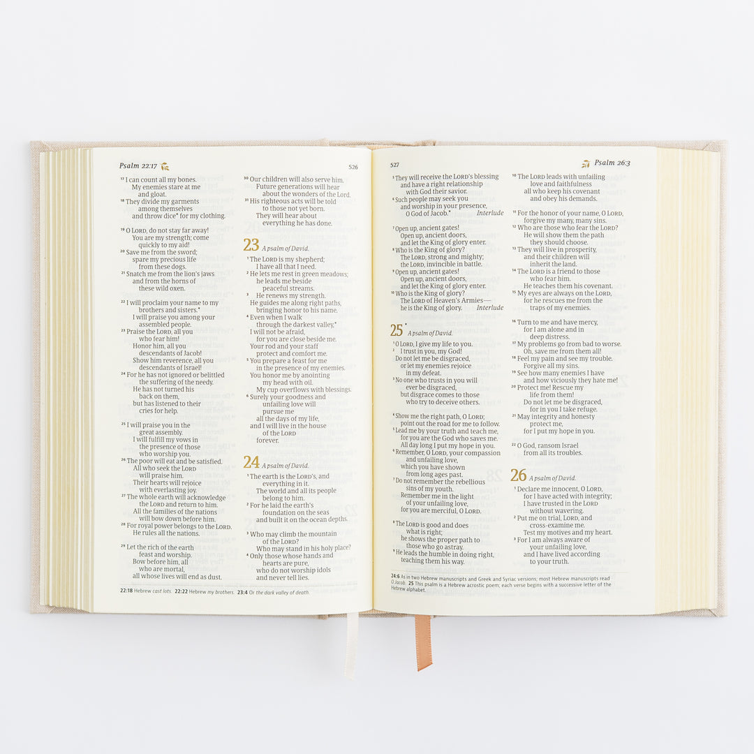 NLT Compact Bible: Casablanca Theme
