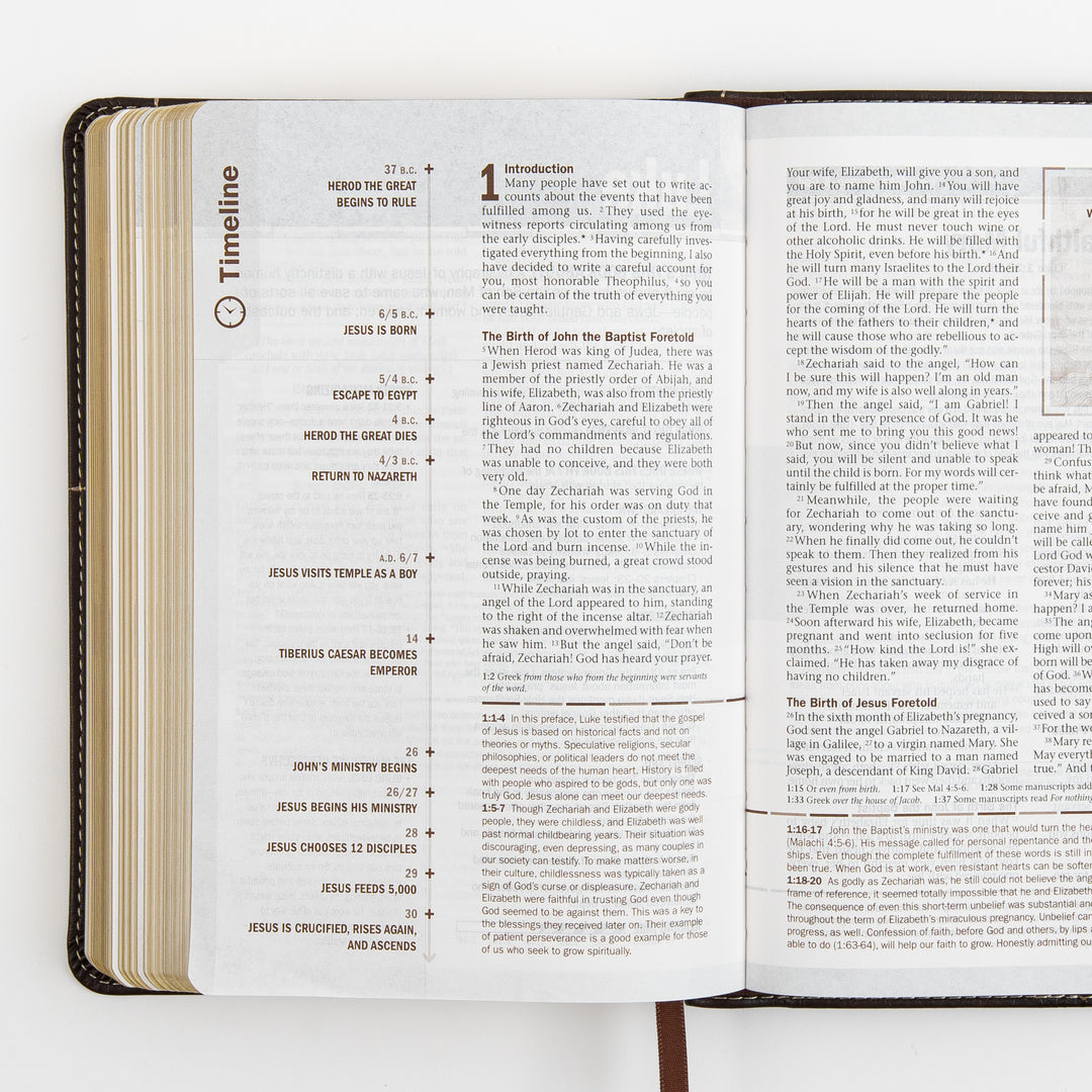 Open Bible page spread at the start of Luke&