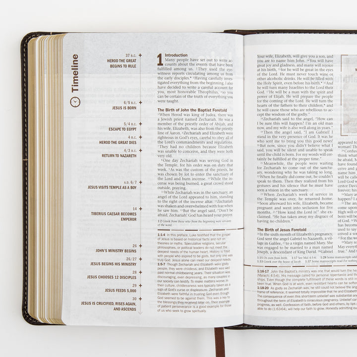 Open Bible page spread at the start of Luke&