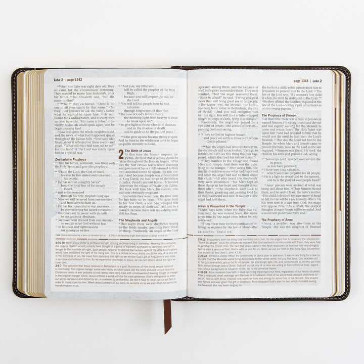 Open Bible page spread showing Luke chapter 2, covering the birth of Jesus, the shepherds and angels, and Jesus being presented in the temple with the prophecies of Simeon and Anna.
