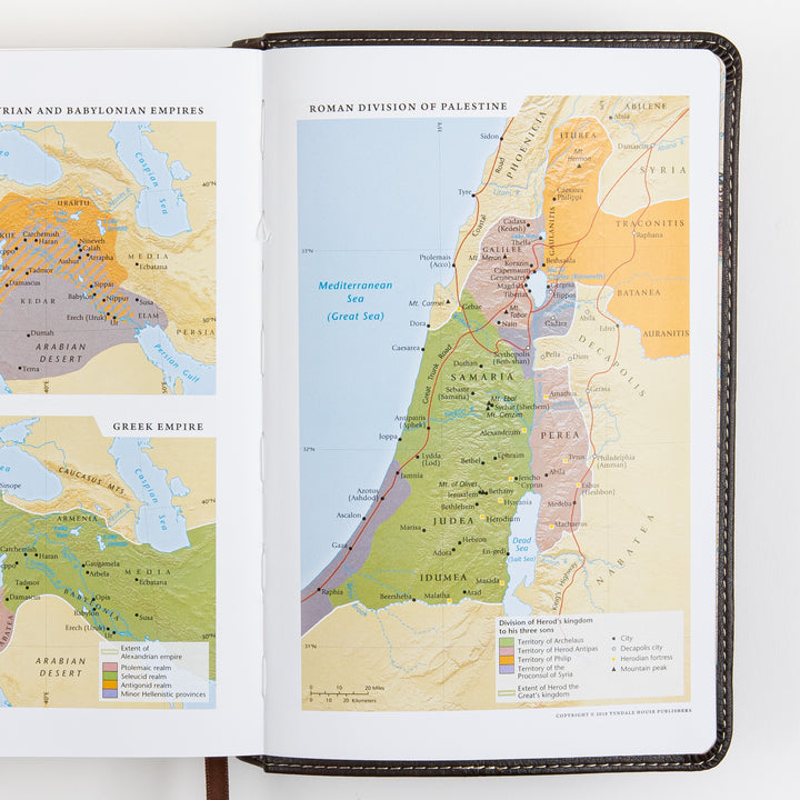 Open Bible page spread of reference maps in the back matter, showing smaller maps of the Assyrian/Babylonian and Greek Empires on the left page and a larger color map of the Roman Division of Palestine, labeling Galilee, Samaria, and Judea, on the right.