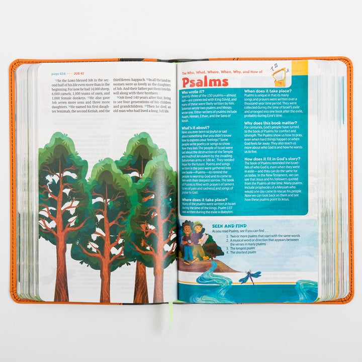 Open interior spread of the NLT GO Bible for Kids showing a full-page illustration of tall pine trees on the left page at the end of Job, and a &