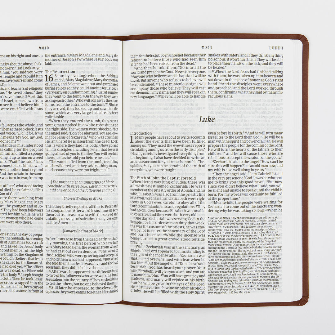 Open two-page spread showing the end of the Gospel of Mark, including chapter 16 on the Resurrection and a bracketed note about ancient manuscript endings, next to the title page and Introduction for the Gospel of Luke, in large print with page numbers 810 and 811.