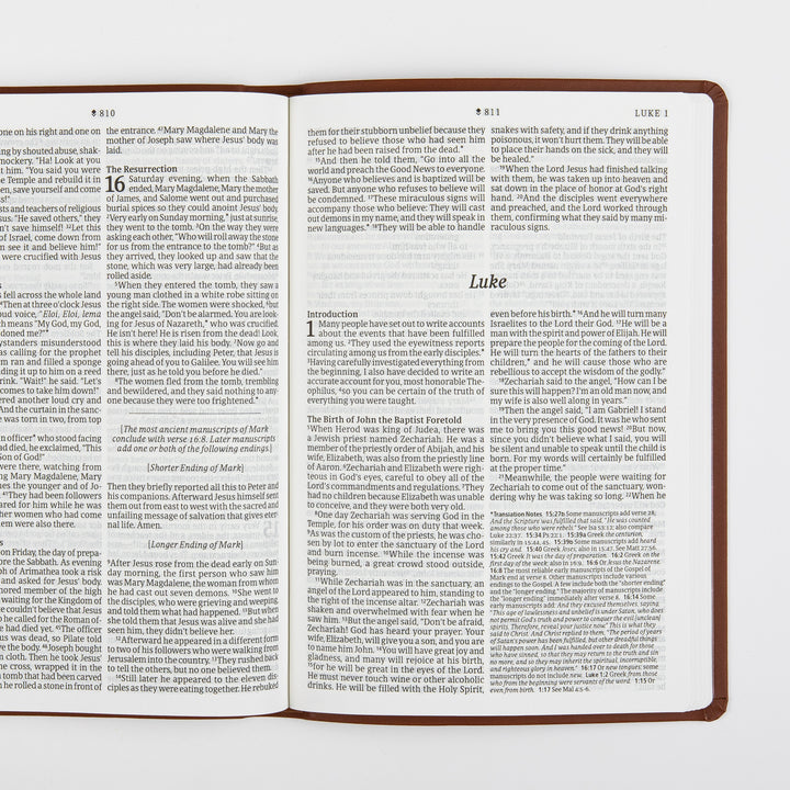 Open two-page spread showing the end of the Gospel of Mark, including chapter 16 on the Resurrection and a bracketed note about ancient manuscript endings, next to the title page and Introduction for the Gospel of Luke, in large print with page numbers 810 and 811.