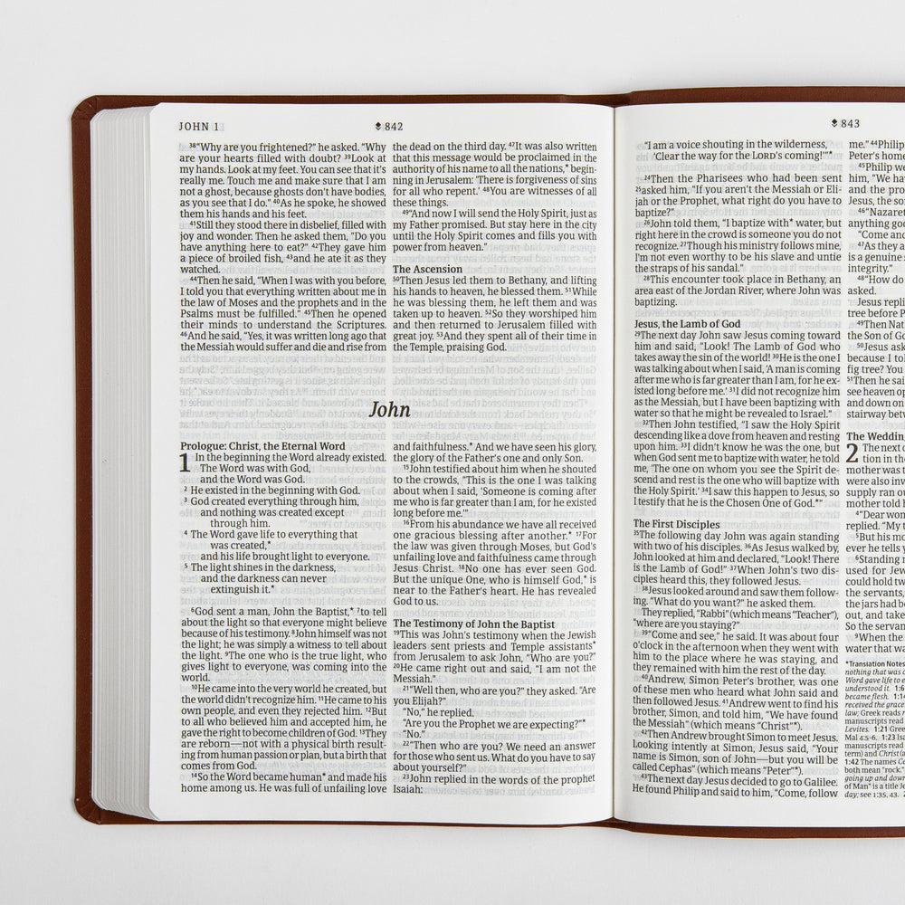 Open two-page spread of the Bible showing the end of John chapter 1 and beginning of chapter 2 in large print black text, with italicized section headings such as The Ascension, Jesus the Lamb of God, and The Testimony of John the Baptist, page numbers 842 and 843, and the brown leatherlike cover edge visible around the pages.