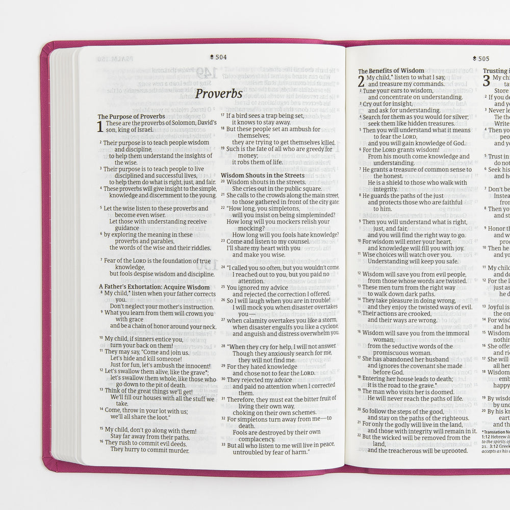 Open Bible interior spread showing the Book of Proverbs, chapters 15-16, in large-print black type set in a single column per page with an italic section title, bold subheadings, and small superscript verse numbers; pink cover edges frame the cream pages.