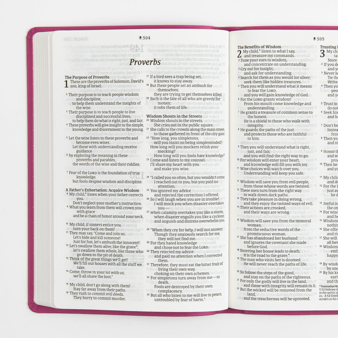 Open Bible interior spread showing the Book of Proverbs, chapters 15-16, in large-print black type set in a single column per page with an italic section title, bold subheadings, and small superscript verse numbers; pink cover edges frame the cream pages.