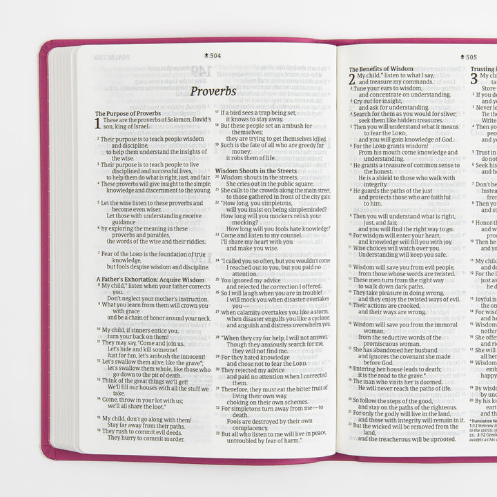 Open Bible interior spread showing the Book of Proverbs, chapters 15-16, in large-print black type set in a single column per page with an italic section title, bold subheadings, and small superscript verse numbers; pink cover edges frame the cream pages.