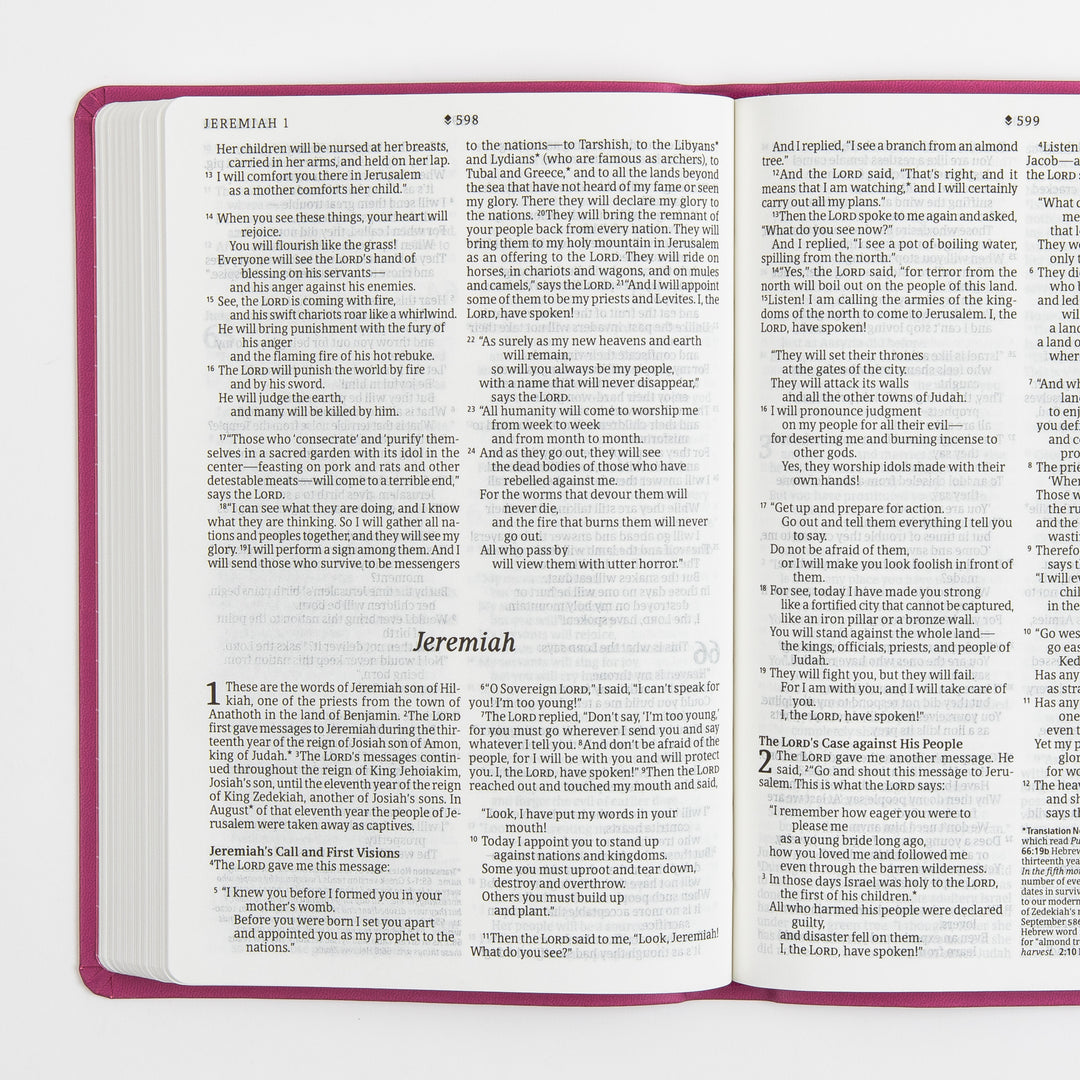 Open Bible interior spread transitioning from the end of Jeremiah 1 into the start of Jeremiah 2, two columns of large-print black text per page with italic section headings and the italic book title Jeremiah centered above the text block; pink cover edges frame the pages.