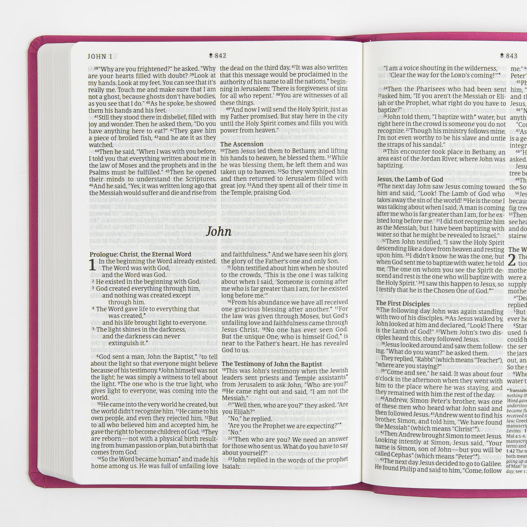 Open Bible interior spread at the start of the Gospel of John, italic title John centered above two columns of large-print black text describing the Prologue, with the narrative continuing from John 1 into John 2 on the facing page; pink cover edges frame the pages.