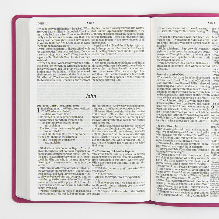 Open Bible interior spread at the start of the Gospel of John, italic title John centered above two columns of large-print black text describing the Prologue, with the narrative continuing from John 1 into John 2 on the facing page; pink cover edges frame the pages.
