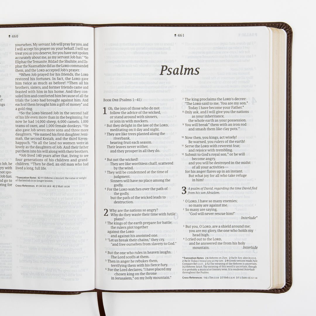 Open Bible spread showing the title page for Psalms, with &