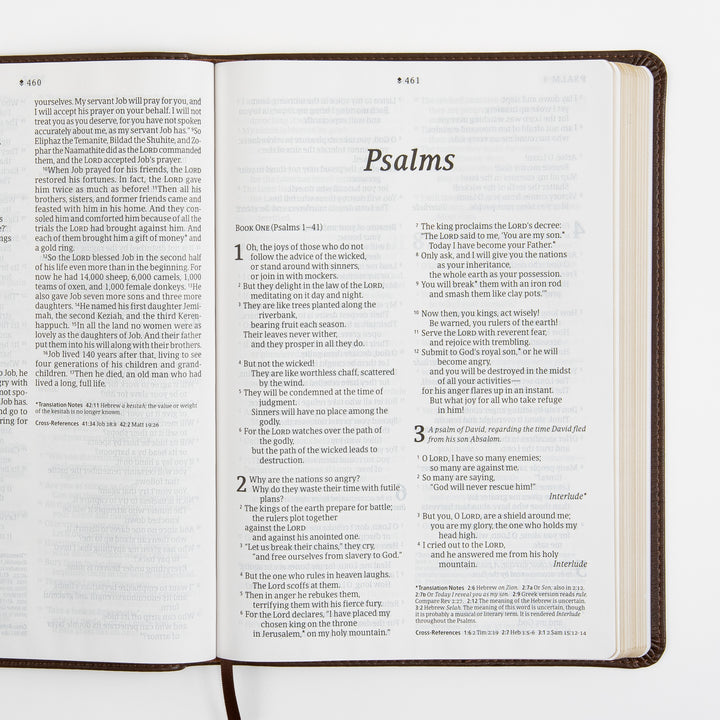 Open Bible spread showing the title page for Psalms, with &