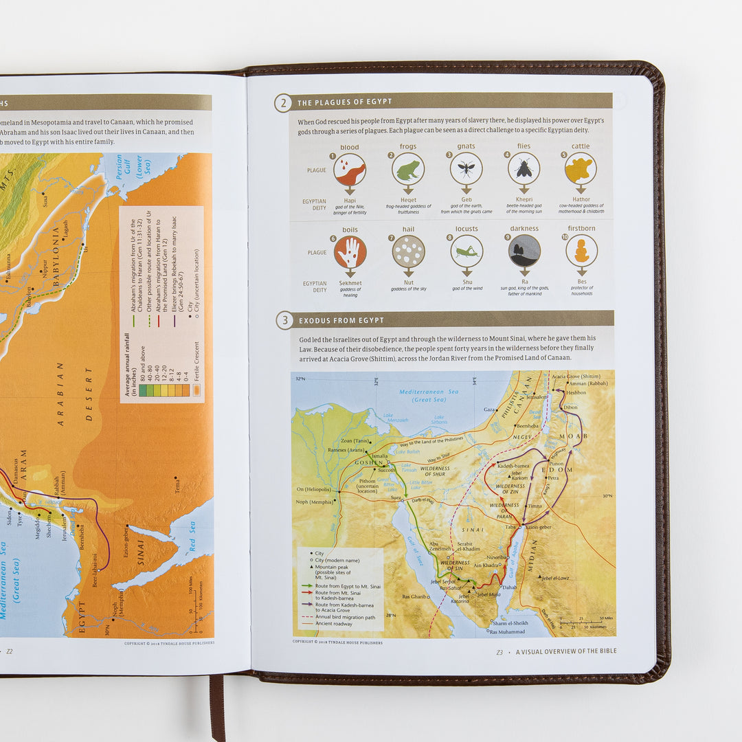 Open Bible spread from the color Visual Overview of the Bible section, showing an infographic of &